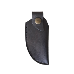 ETUI SARTINESU OU CURNICIULU